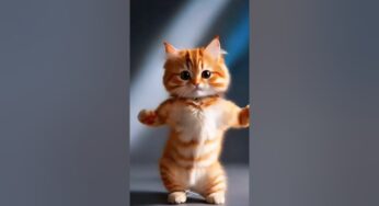 Bikin Video Viral Kucing Joget dengan AI, Begini Caranya!